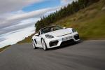 Porsche 718 Spyder 2019 года (WW)